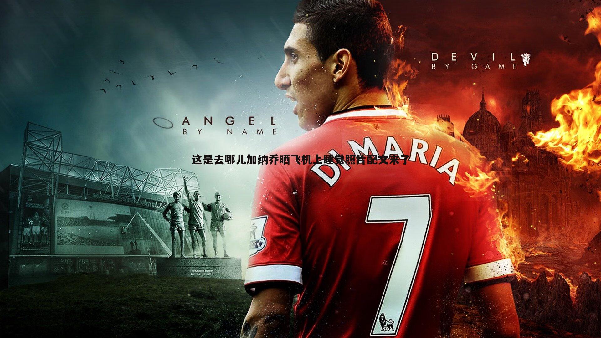 这是去哪儿加纳乔晒飞机上睡觉照片配文来了